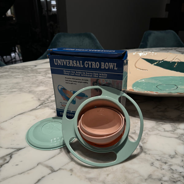 Spill Proof Bowl