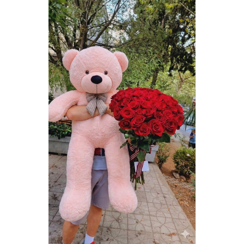 Teddy Bear Plush