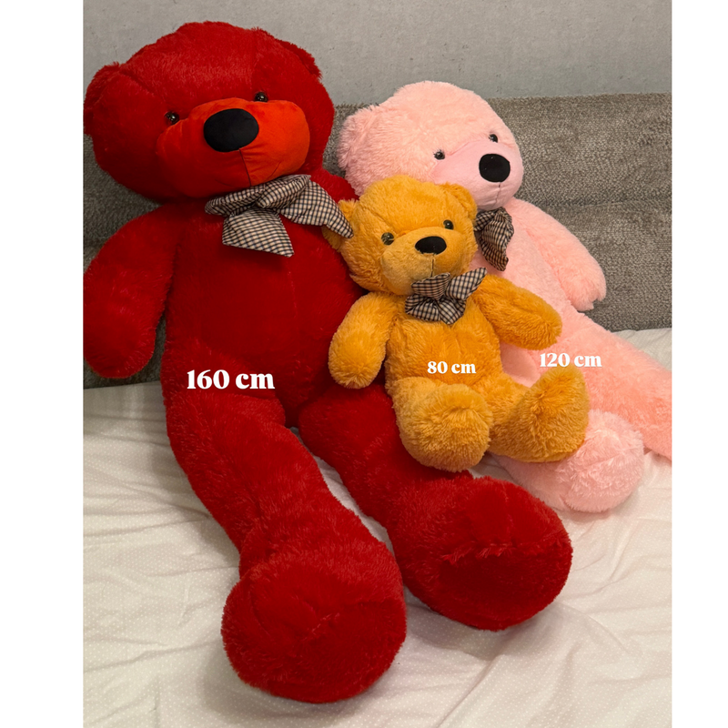 Teddy Bear Plush