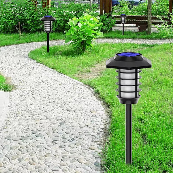 Solar Light