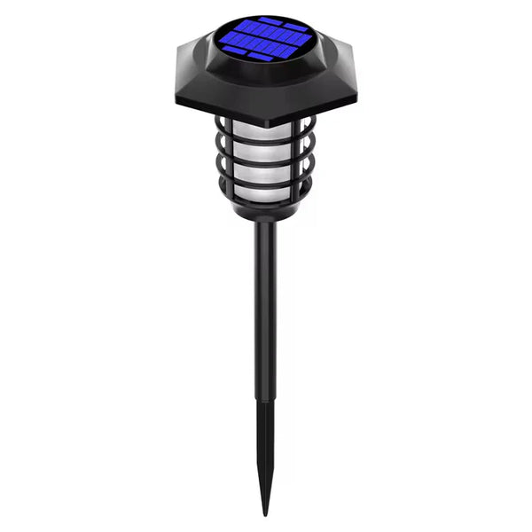 Solar Light